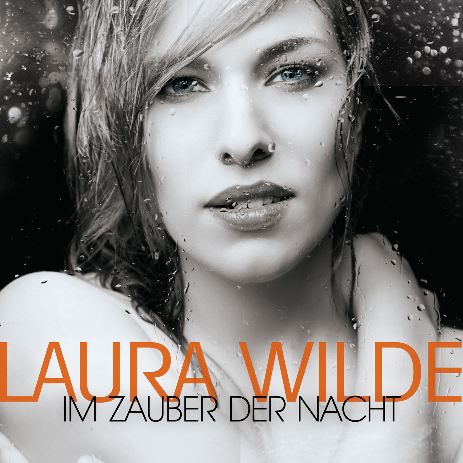 Laura Wilde Im Zauber Der Nacht